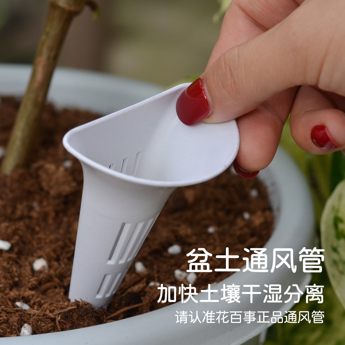 盆土通风透气管防闷根根部烂根土壤通风加长款种花盆景透气通风器,鲜花速递/花卉仿真/绿植园艺,其它园艺用品,淘宝优惠券,粉丝福利购,淘宝优惠卷