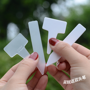 多肉T型标签插牌园艺工具植物花卉防水育苗播种透明塑料标记识牌