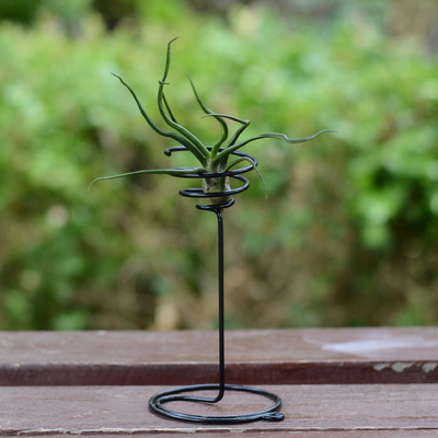 花百事空气凤梨托架悬挂支架