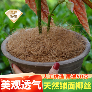 天然椰丝铺面植物盆栽绿植种花盆土面覆盖物装饰鸟窝垫料铺面椰丝