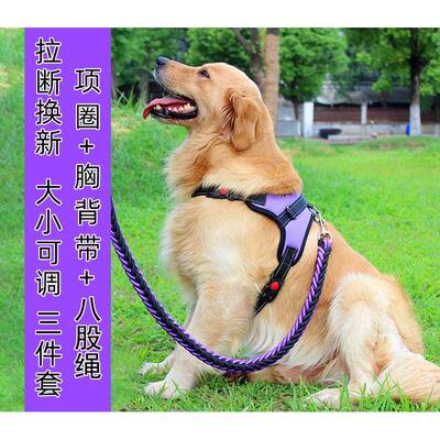 Dog leash medium large dogs walking harness collar chain set