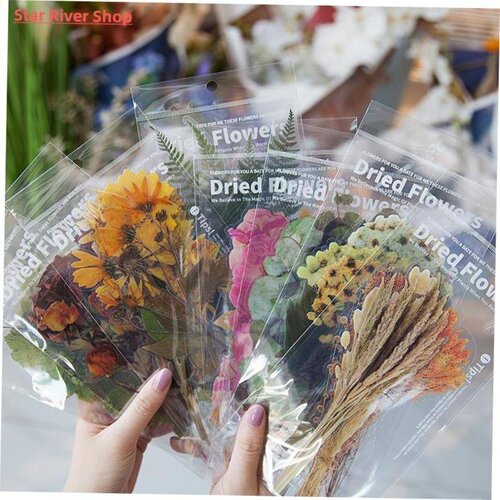 Weekend flower shop series Decorative Stickers Scrapbooking