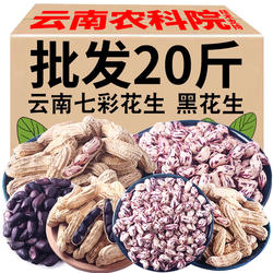 2024新云南七彩野地花生带壳熟花生新鲜黑花生米孟连五彩花生整箱