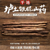 河南焦作温县正宗垆土地铁棍山药铁杆淮山怀山药新鲜5斤特产礼品