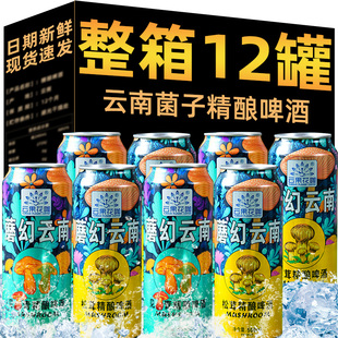 云南见手青精酿啤酒山珍菌松茸牛肝菌子蘑菇小麦风味啤酒整箱批发