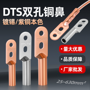 240接头 双孔铜鼻子双眼接线端子电线铜线鼻紫铜线耳DTS