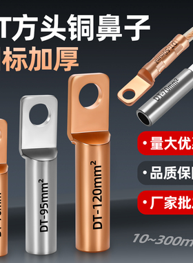 DTF方头铜鼻子国标紫铜线鼻子240/300平方断路器线耳镀锡接线端子