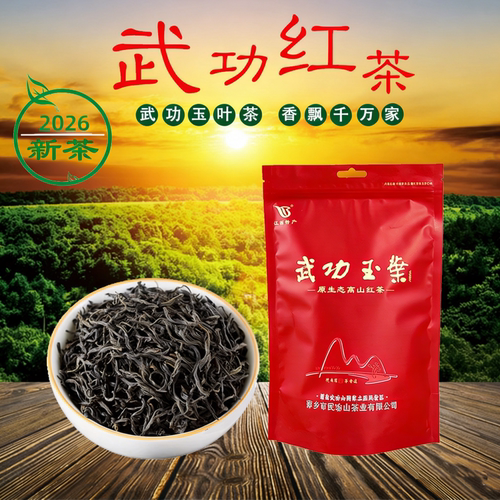 武功山茶叶江西高山红茶耐泡实惠