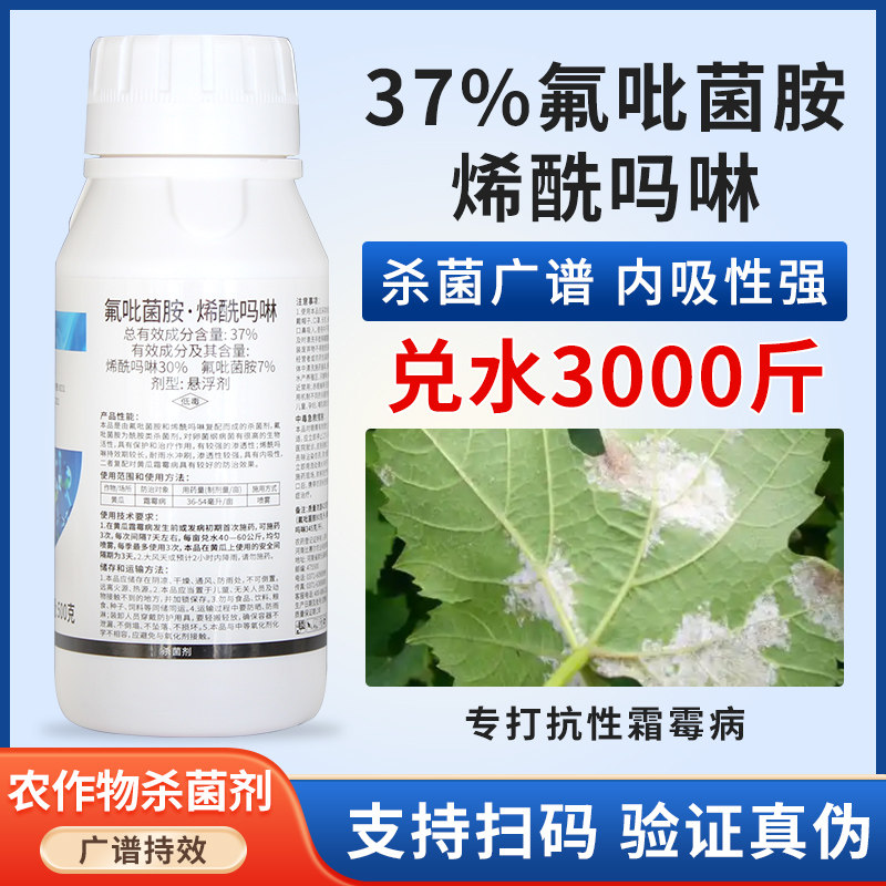 37%氟吡菌胺烯酰吗啉霜霉病