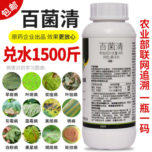果树早疫病1000克包邮百菌清