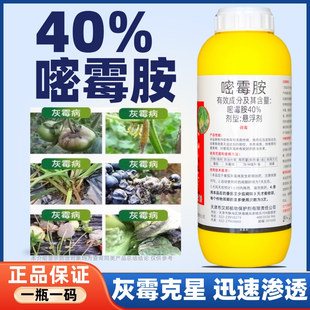 40%嘧霉胺蔬菜黄瓜番茄灰霉病专用叶霉病菌核病密霉胺农药杀菌剂