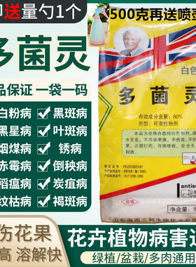 80%白粉病土壤消毒多菌灵送量勺