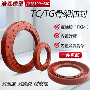氟胶骨架油封内径100 420耐高温耐腐蚀耐磨TC骨架油封水封TG4螺纹