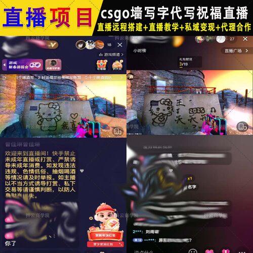 抖音快手 半无人直播教学csgo代写墙上猫祝福视频cs墙上写字 地图