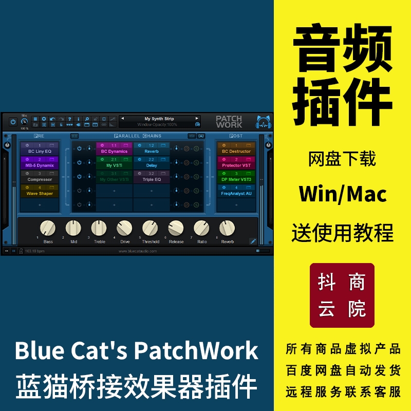 Blue Cats PatchWork蓝猫桥接器插件ProTools桥接工具Win/Mac