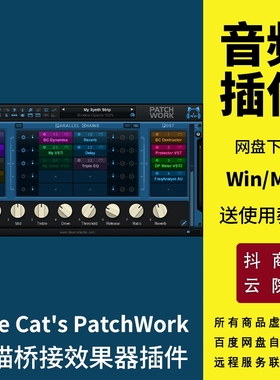 Blue Cats PatchWork蓝猫桥接器插件ProTools桥接工具Win/Mac