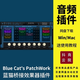 Blue Cats PatchWork蓝猫桥接器插件ProTools桥接工具Win/Mac