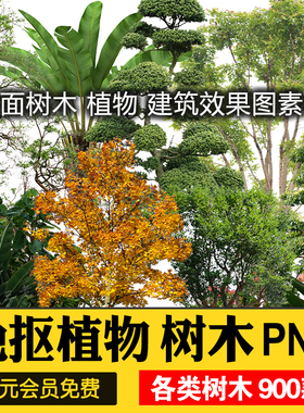 PS园林景观植物PNG免抠图绿色树木立面树乔木建筑图设计素材
