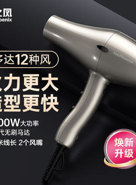火之凤电吹风机6600理发店发廊发型师2400W大功率速干无刷风筒