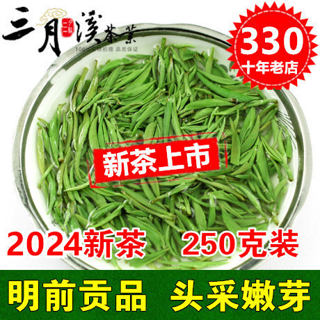 三月溪信阳毛尖2024新茶叶明前贡品头采雪芽绿茶开园嫩芽250g预定