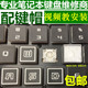 X3S笔记本键盘帽按键帽 机械革命S1蛟龙P air深海泰坦X1