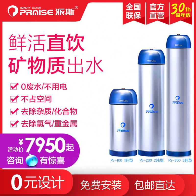 美国派斯中央净水器PS-200 家用全屋大流量净水机 2吨2000L