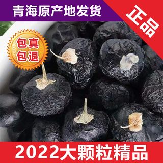 天然正品青海诺木洪野生黑枸杞特级牛头果250g10毫米罐装青海发货