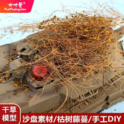 方寸景模型干草藤蔓DIY