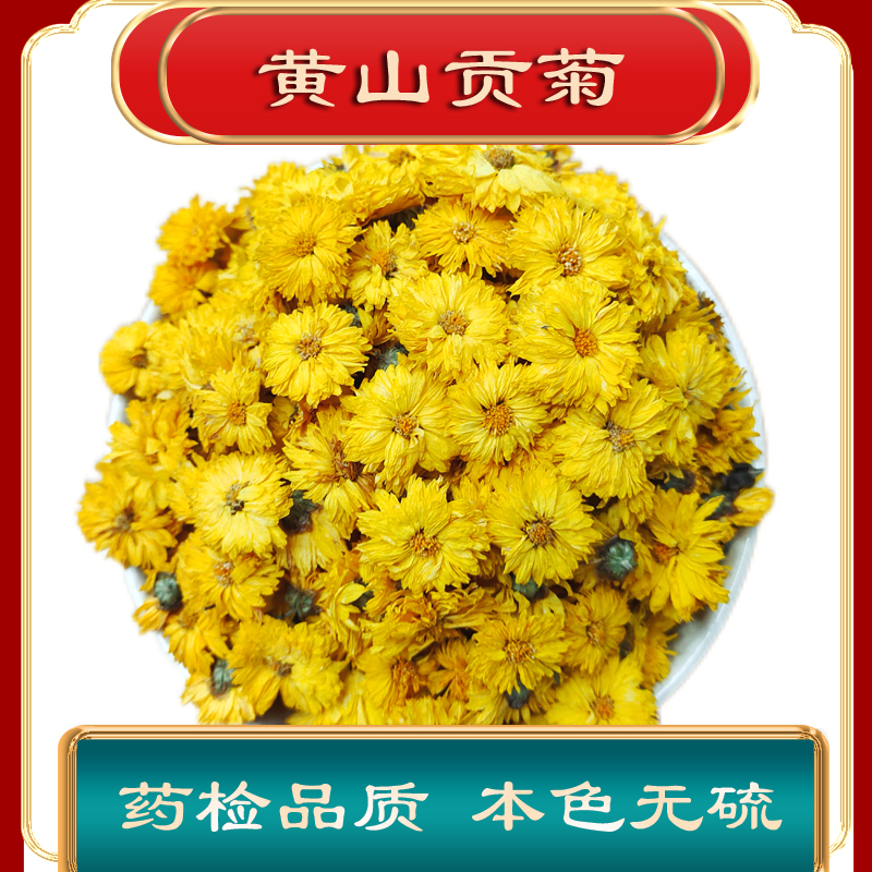 黄山菊花正宗野生下火上班族