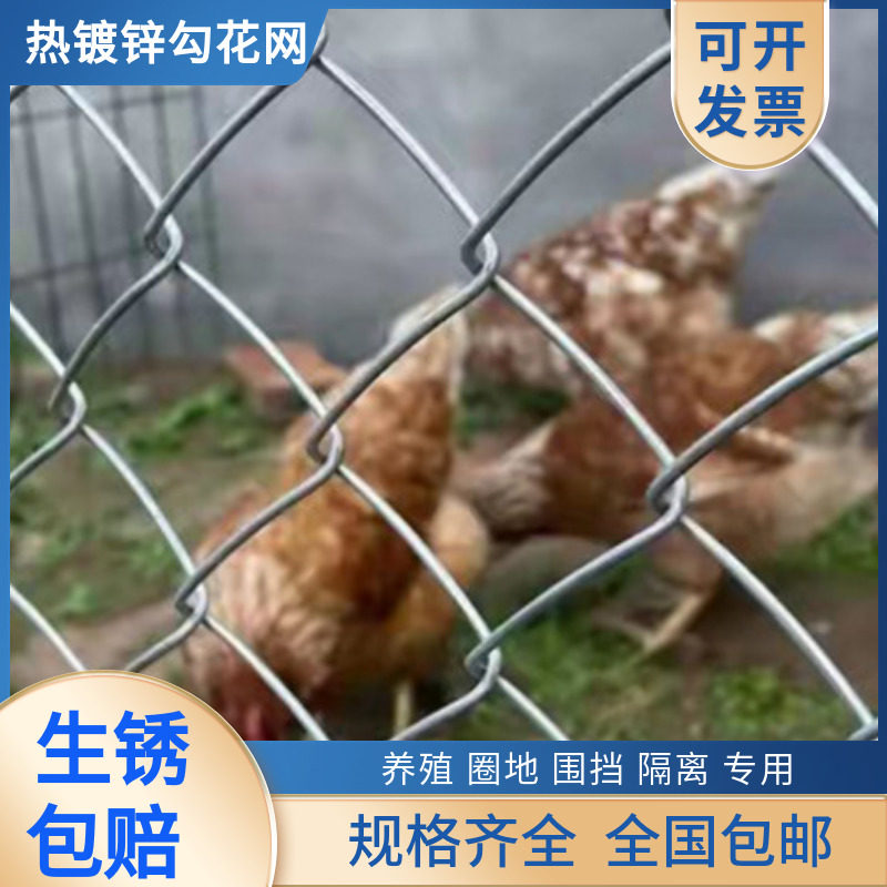 镀锌铁丝网围栏围网防护网圈地养殖网钢丝网勾花果园隔离护栏围挡属于什么档次？