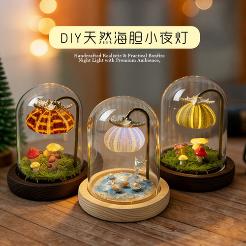 diy海胆小夜灯材料包蘑菇灯成品手工贝壳海螺团建沙龙教师节礼物
