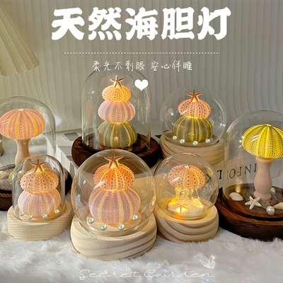 520diy海胆小夜灯水母蘑菇灯材料包海螺贝壳摆件礼物送男友