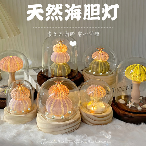 520diy海胆小夜灯水母蘑菇灯材料包海螺贝壳摆件礼物送男友