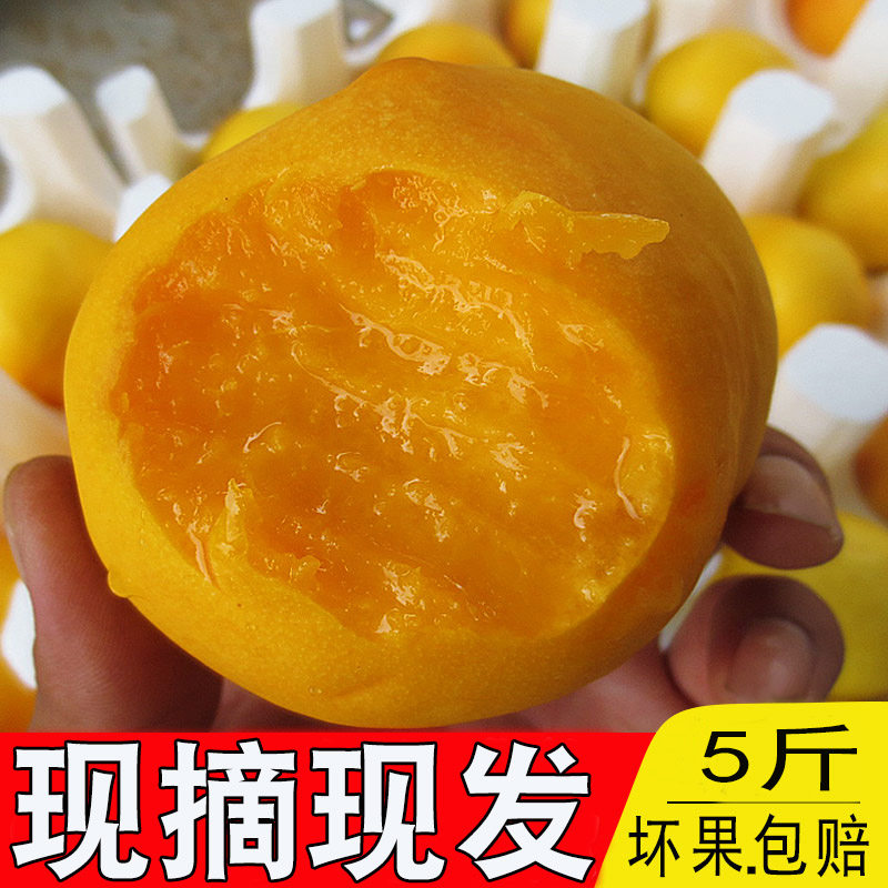 黄油桃新鲜水果桃子黄桃硬脆甜油桃毛桃孕妇爱吃农家现摘现发
