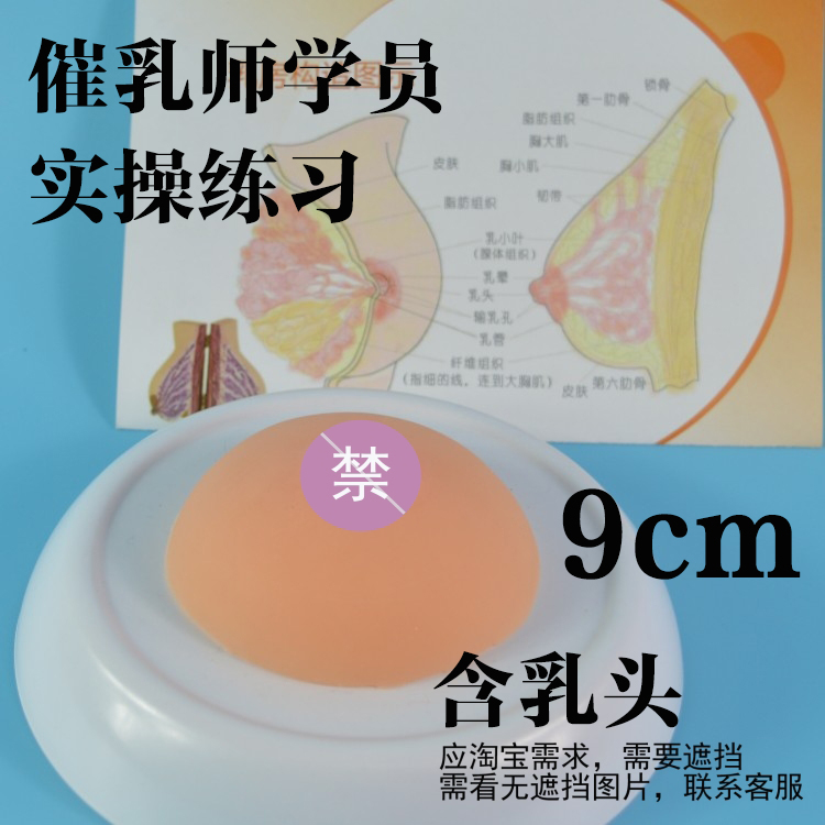 乳房模型小号硅胶实心家政月嫂催乳师培训医院产科培训学校教具