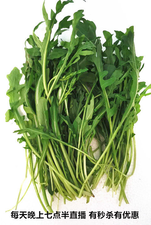 新鲜芝麻菜 火箭菜250g 京津冀68包邮顺丰 北京朝发夕至