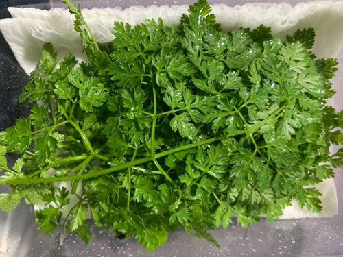 新鲜食用花新鲜细叶芹摆盘装饰