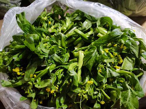 新鲜蔬菜油菜花菜心包邮顺丰