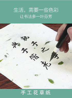 花草熟宣纸植物花叶古法手工造纸