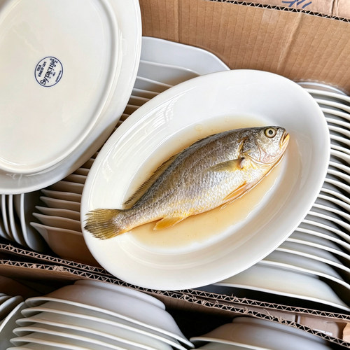 出口外贸原单尾货美式家用陶瓷椭圆盘鱼盘蒸鱼盘海鲜牛排意面西餐