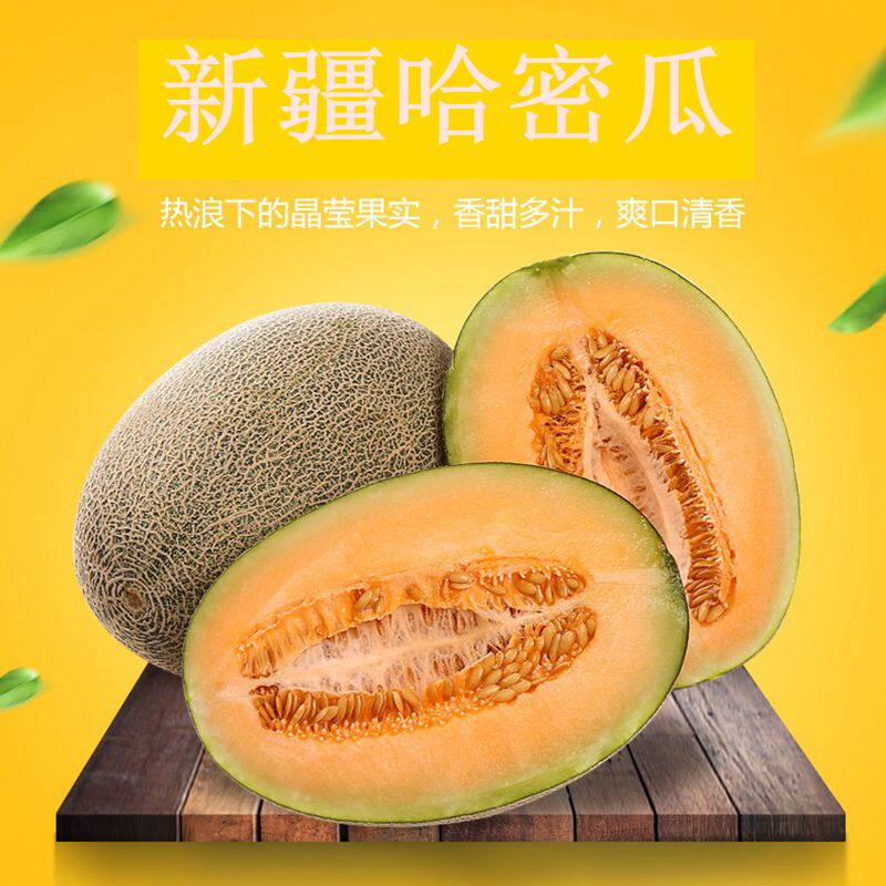 新疆哈密瓜新鲜西周密25号老汉瓜水果应当季节新鲜水果顺丰包邮