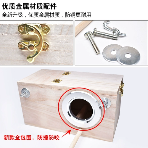 Тигр пион -попугай коробка