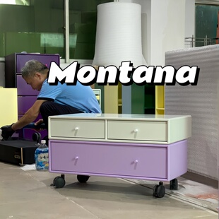 瑞典Arte多巴胺矮柜定制 边柜玄关柜收纳储物斗柜 montana柜同款