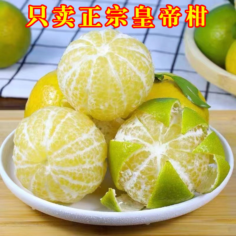 广西皇帝柑贡柑新鲜现摘