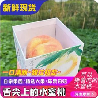 正宗无锡阳山水蜜桃个大软桃脆甜多汁精品礼盒新鲜水果白凤湖景桃