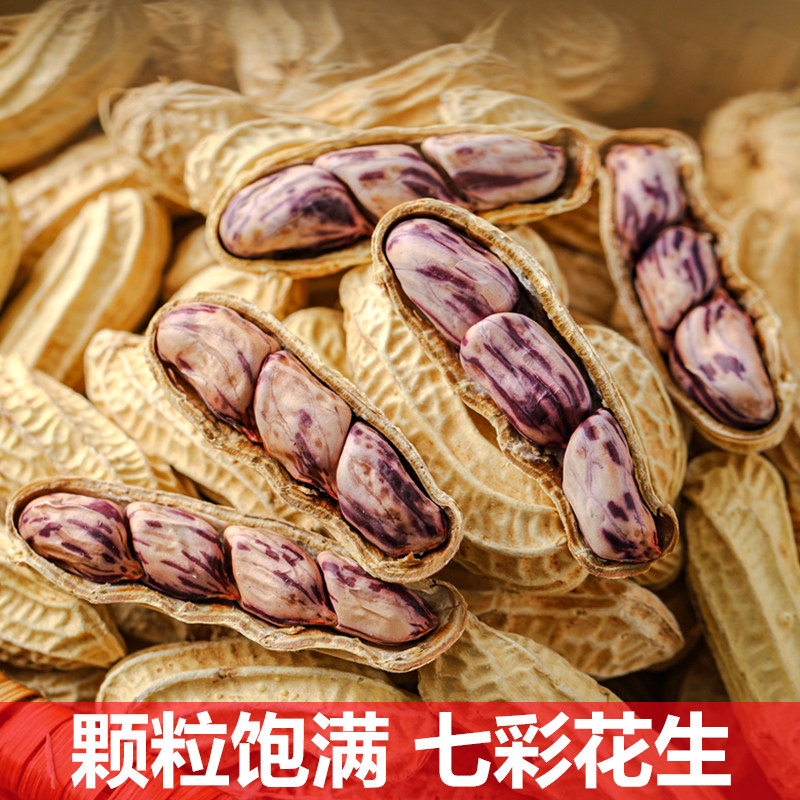 七彩花生湿烤花生大颗粒饱满