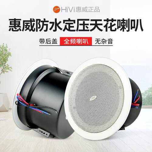 广播音箱TD206吸顶喇叭音响