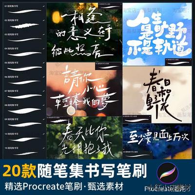 procreate笔刷随笔集笔录可爱手写字体日记手账笔记书写勾线文字