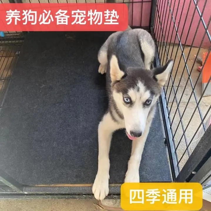 宠物防撕咬防水耐磨地垫图片