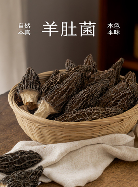 南食召 羊肚菌 大朵鲜香·菌肉厚实 羊肚菌菌菇干货干净无杂质